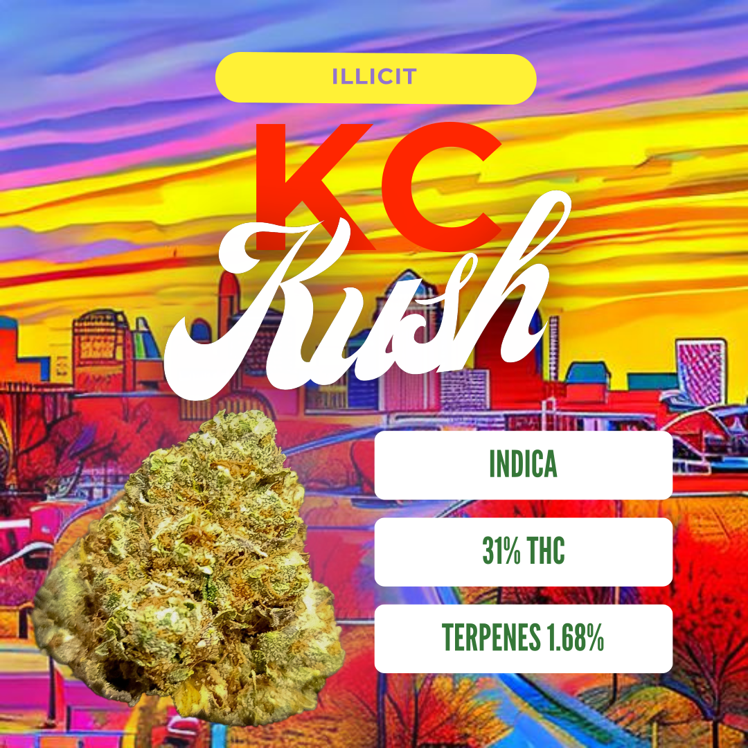 An infographic for the cannabis strain 'KC Kush' showing the terpene and THC percentages.